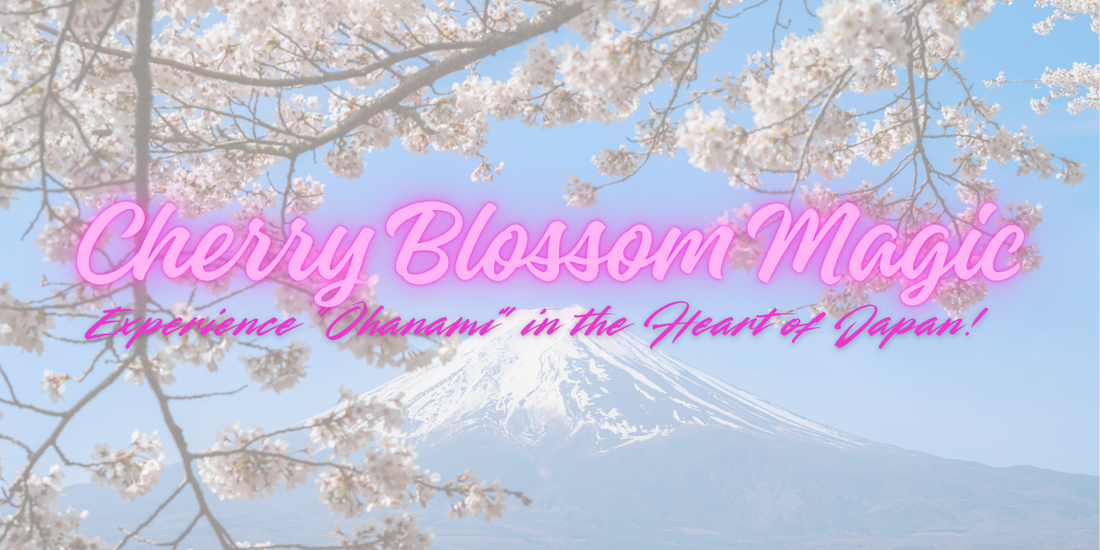 桜の魔法！日本の中心で「お花見」を体験しよう！🌸🍶✨