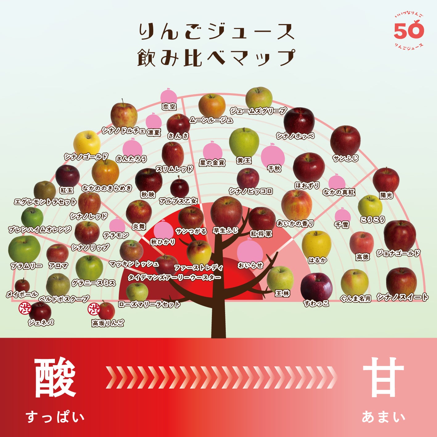 いいづなりんご50品種リンゴジュース　ランダム６種セット